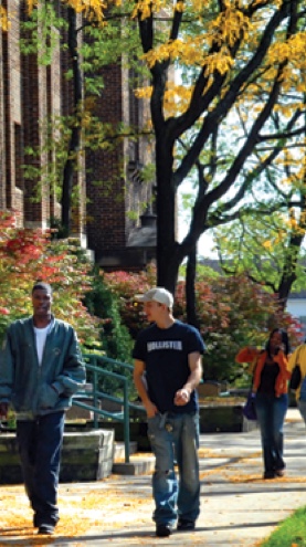 Small image 4 alt text